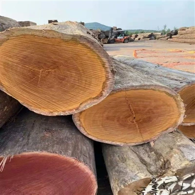 Quality Inspection Of Logs