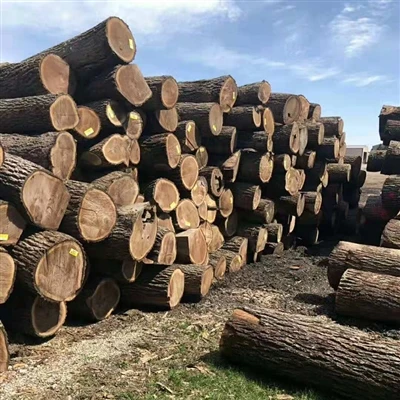 Why Should You Choose Logs For Home Decoration Customization?