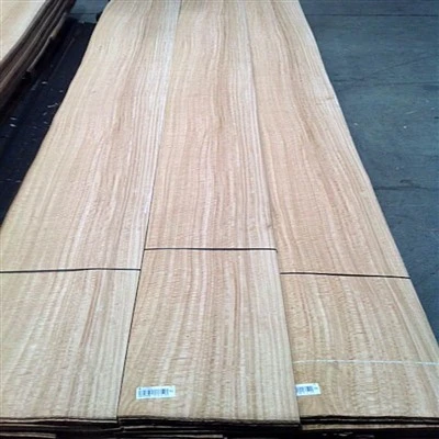 Eucalyptus Rotary-Cut Veneer