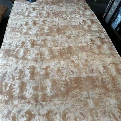Madonna Burl Bark