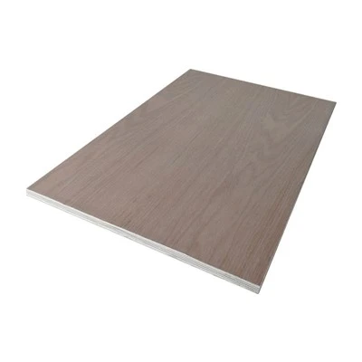 Oak Veneer Door Stain