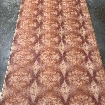 Red Camphor Tree Burl Veneer