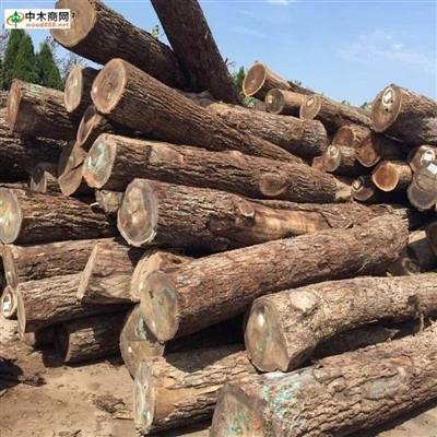 Red Oak Timber
