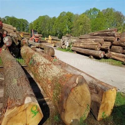 Seasoned Oak Logs