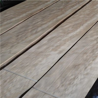 Shadow Wood Logs