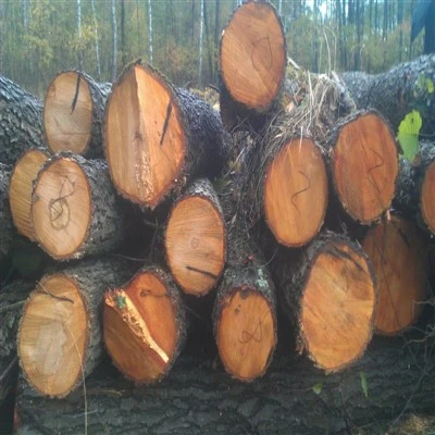 Unseasoned Hardwood Logs