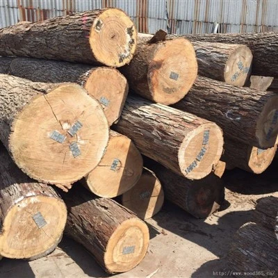 Veneer Walnut Logs